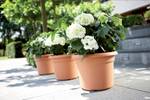green basics cilinder 45cm mild terra